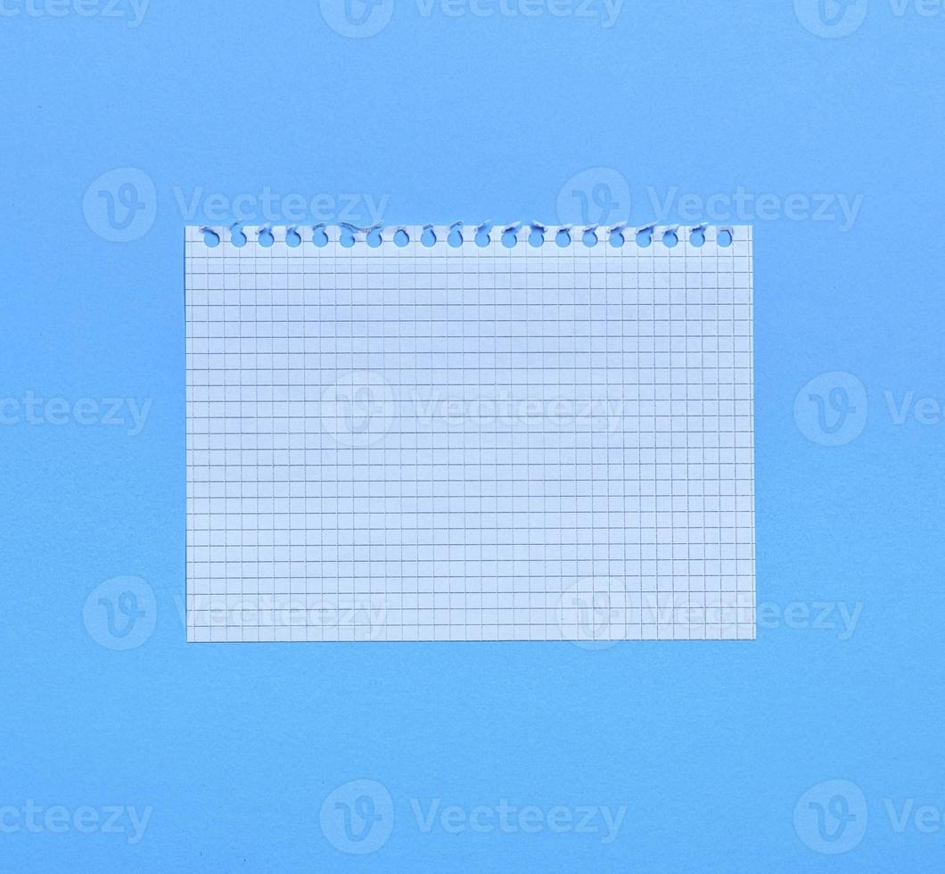 blank white sheet in a cell from a notebook photo