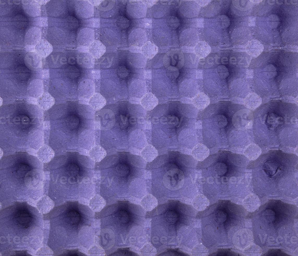 purple protective tray for raw chicken eggs with cells, full frame photo