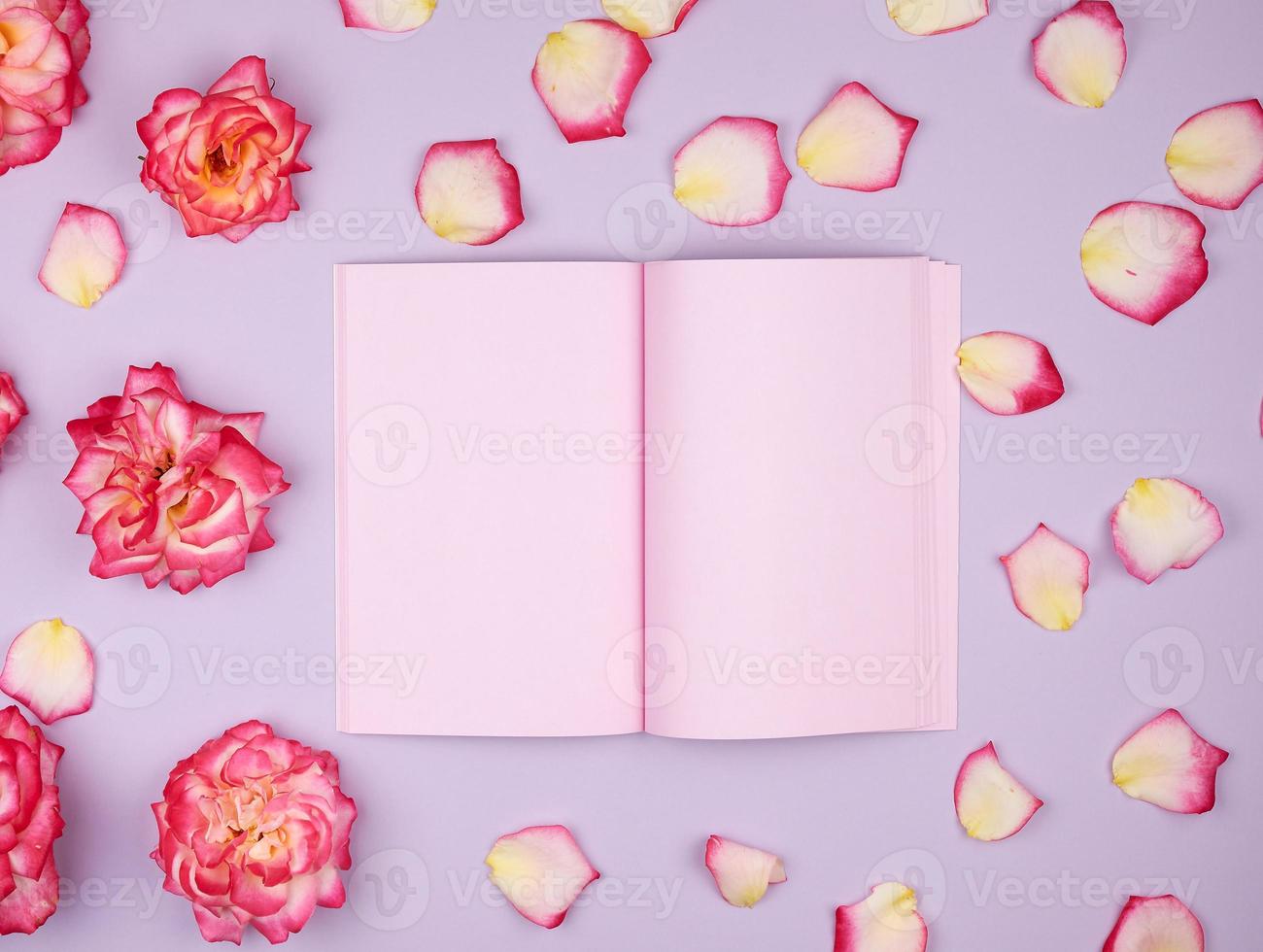 open notebook with pink blank pages photo
