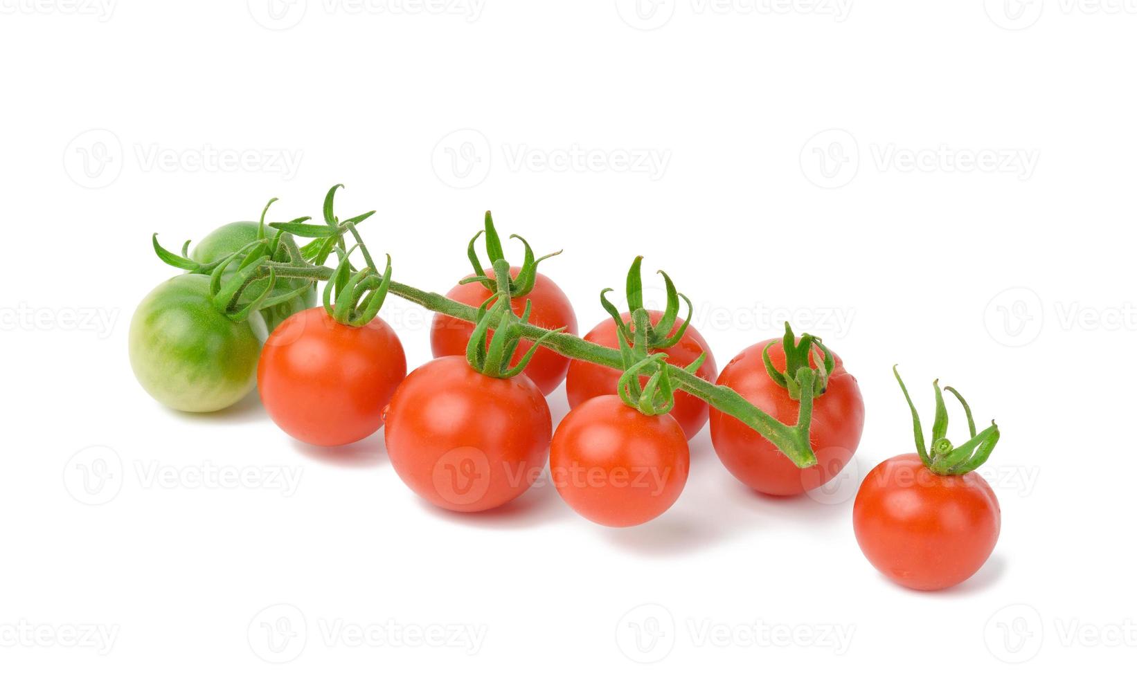 red ripe tomatoes on a green branch on a white background, healthy vegetable photo
