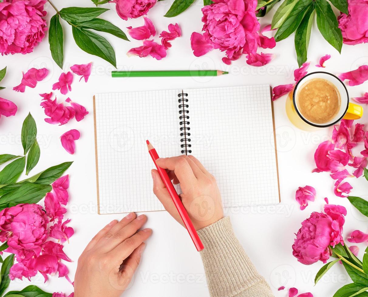 open empty notebook in a cage and two female hands photo