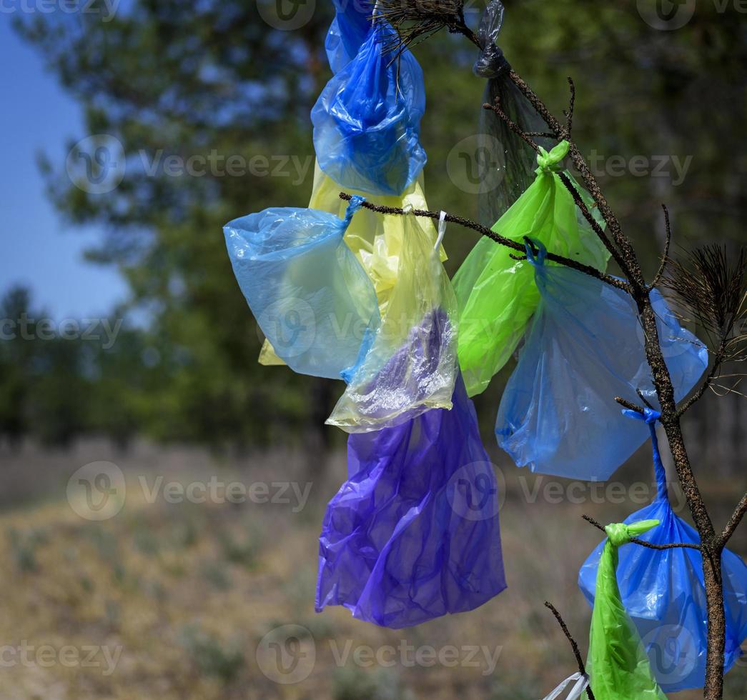 muchas bolsas de plástico multicolores colgando de una rama de pino foto