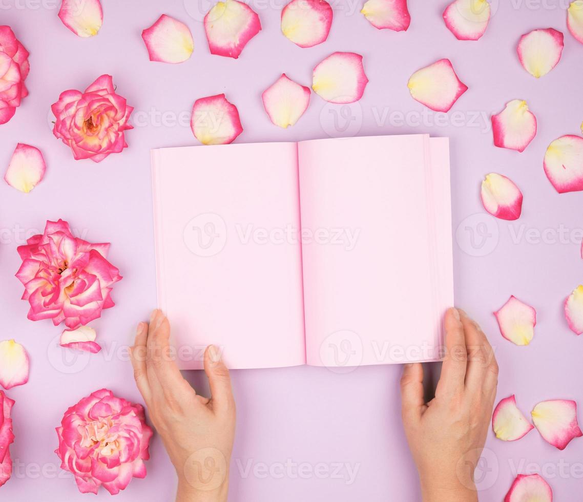 two female hands holding open notepad with clean pink sheets photo