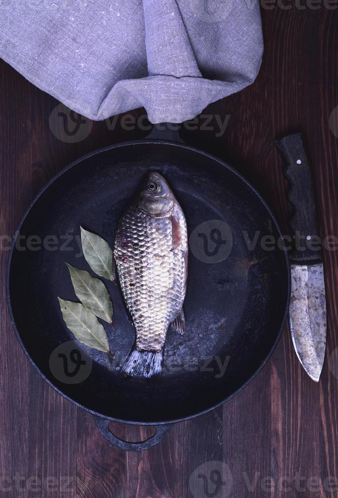 Fresh river carp in a black cast-iron frying pan photo