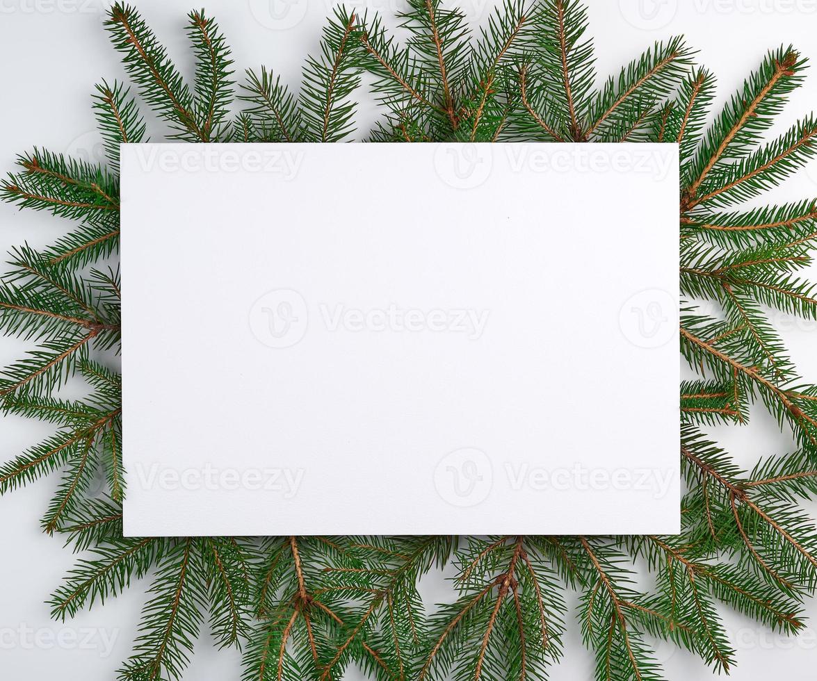 congratulatory Christmas background with an empty white sheet and green branches photo