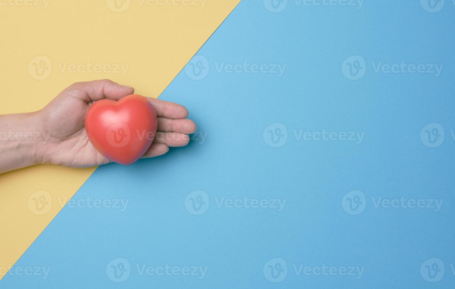 Female hand holds red heart, blue yellow background. Love and donation concept, top view photo