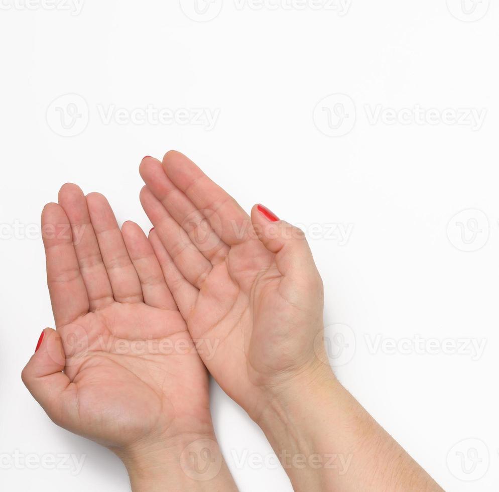 two female hands with red painted nails in a prayer pose on a white background photo