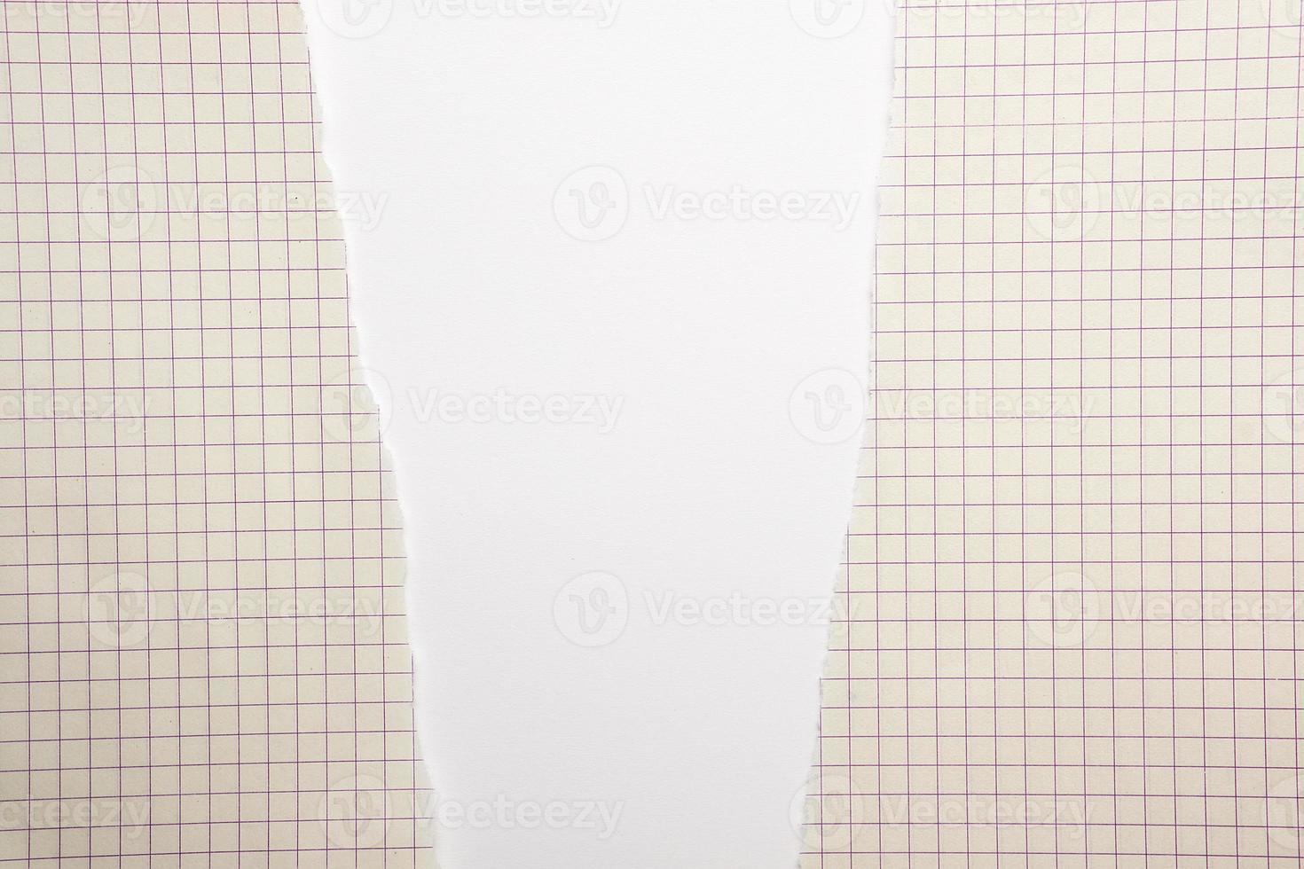 yellow torn sheet of paper in a cell on a white background photo