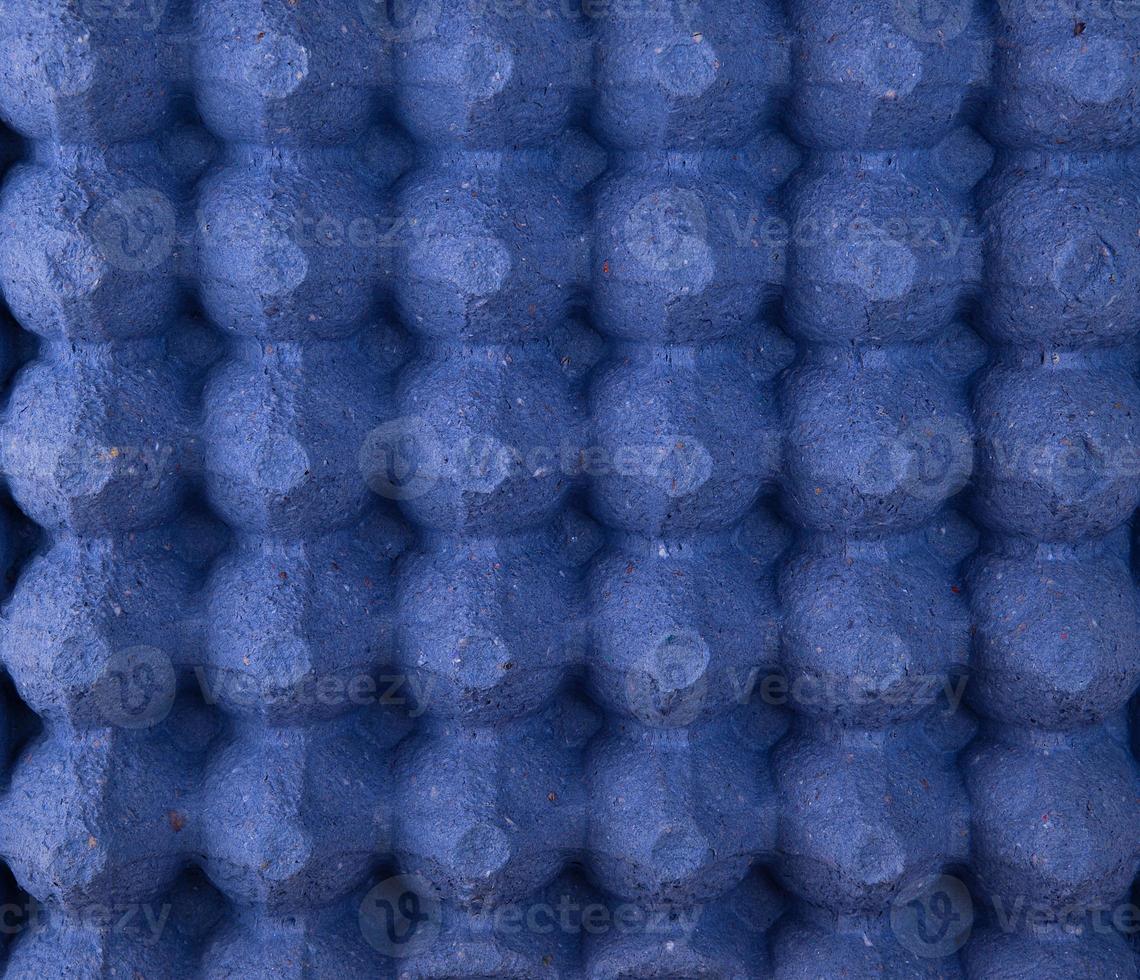 empty blue protective tray for raw chicken eggs with cells photo