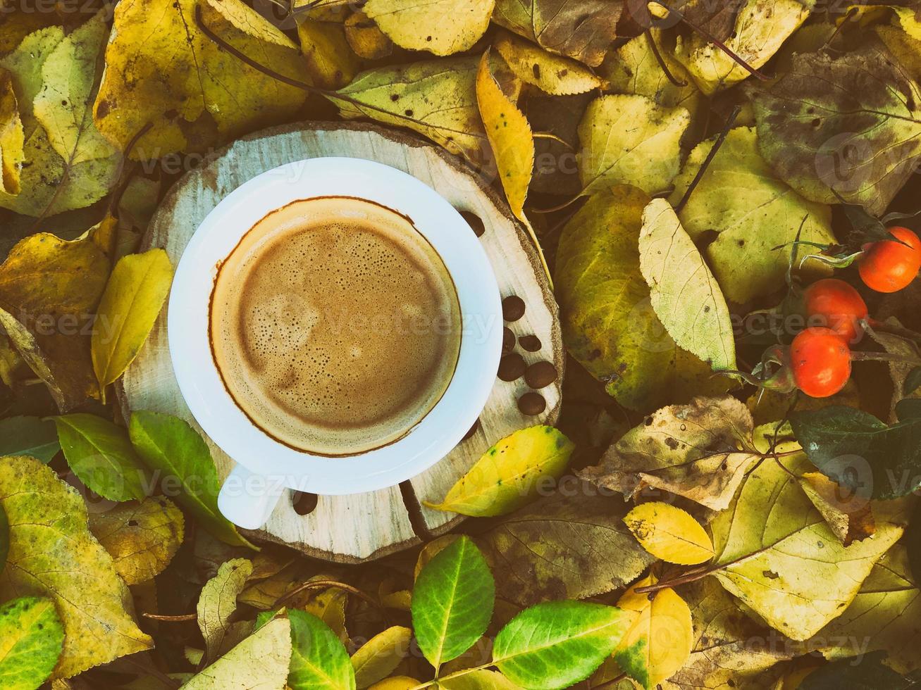 foto antigua taza de café en el suelo entre las hojas amarillas caídas