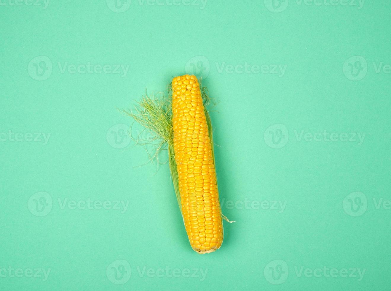 one ripe yellow corn cob on a green background photo
