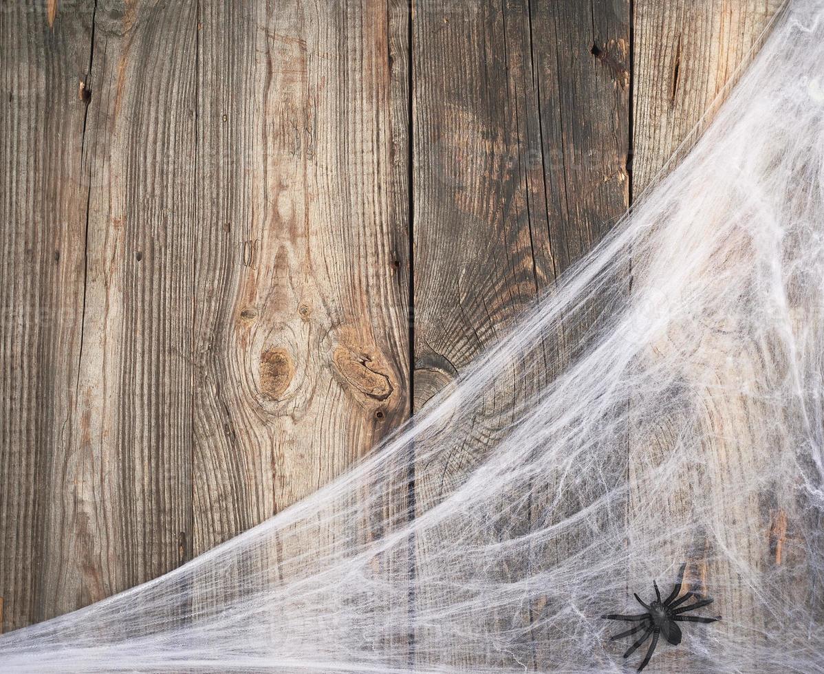 white spider web with black spiders on a gray wooden background from old boards photo