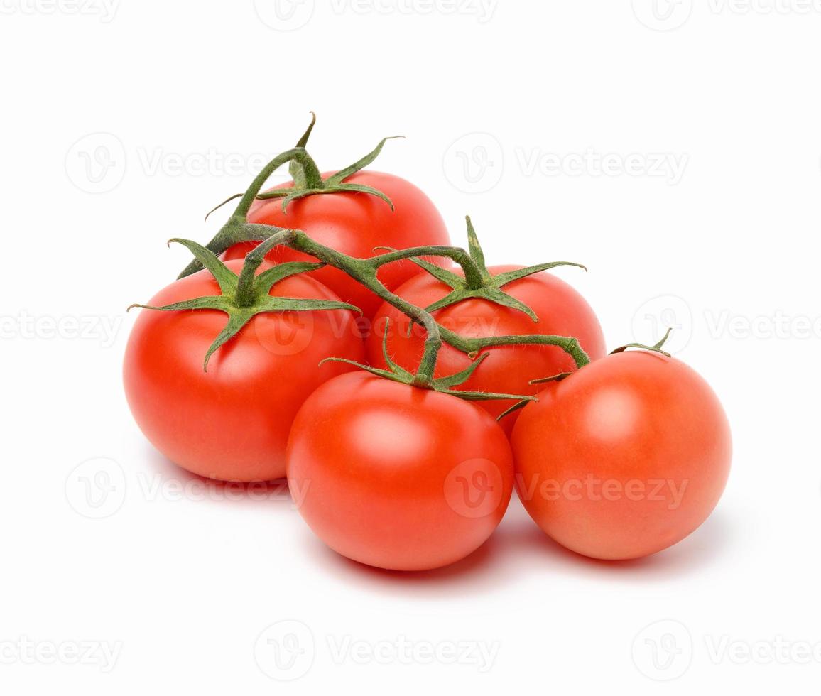 tomates rojos maduros en una rama verde sobre un fondo blanco foto