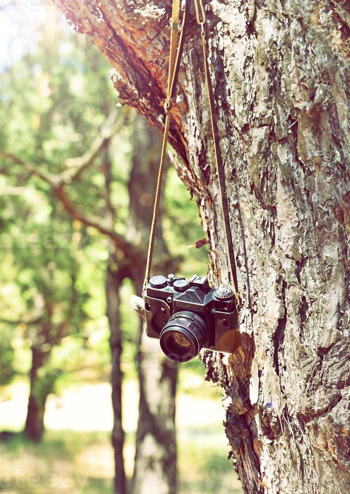 Old retro film camera hanging on a tree photo