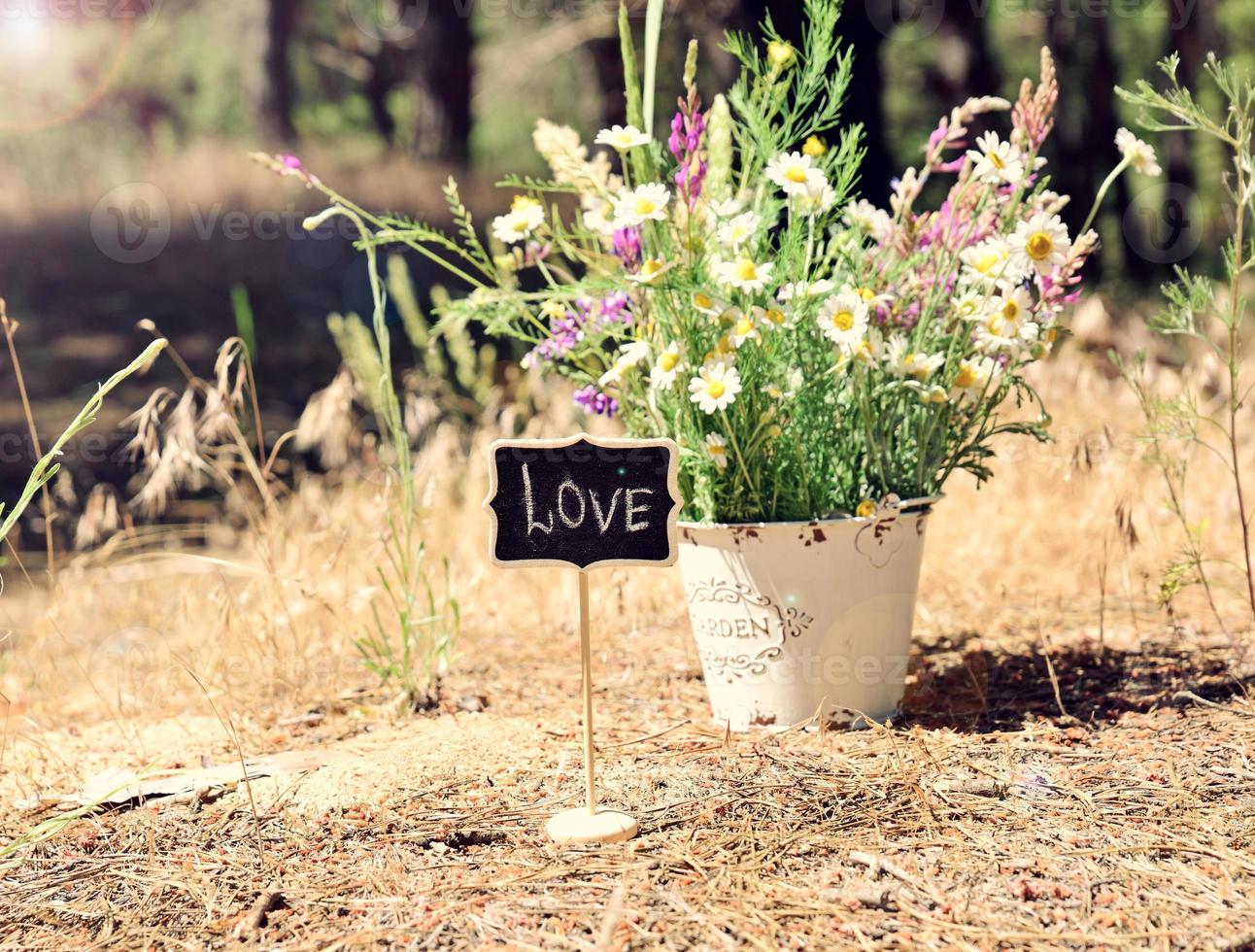 Wooden pointer with the inscription love photo