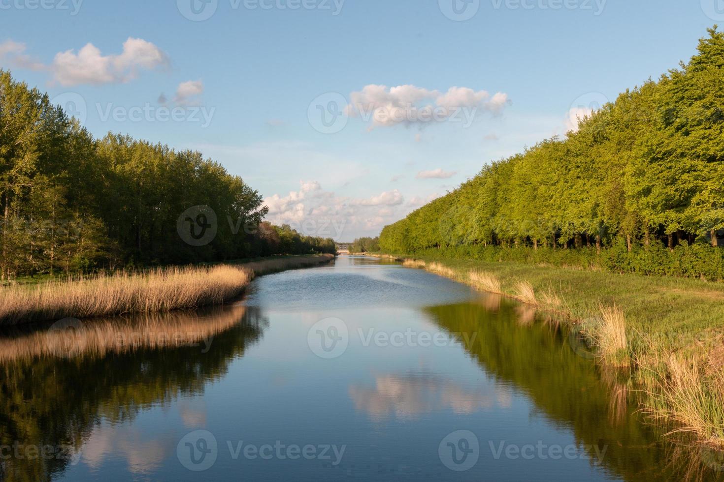 Waterway through a Dutch forest photo