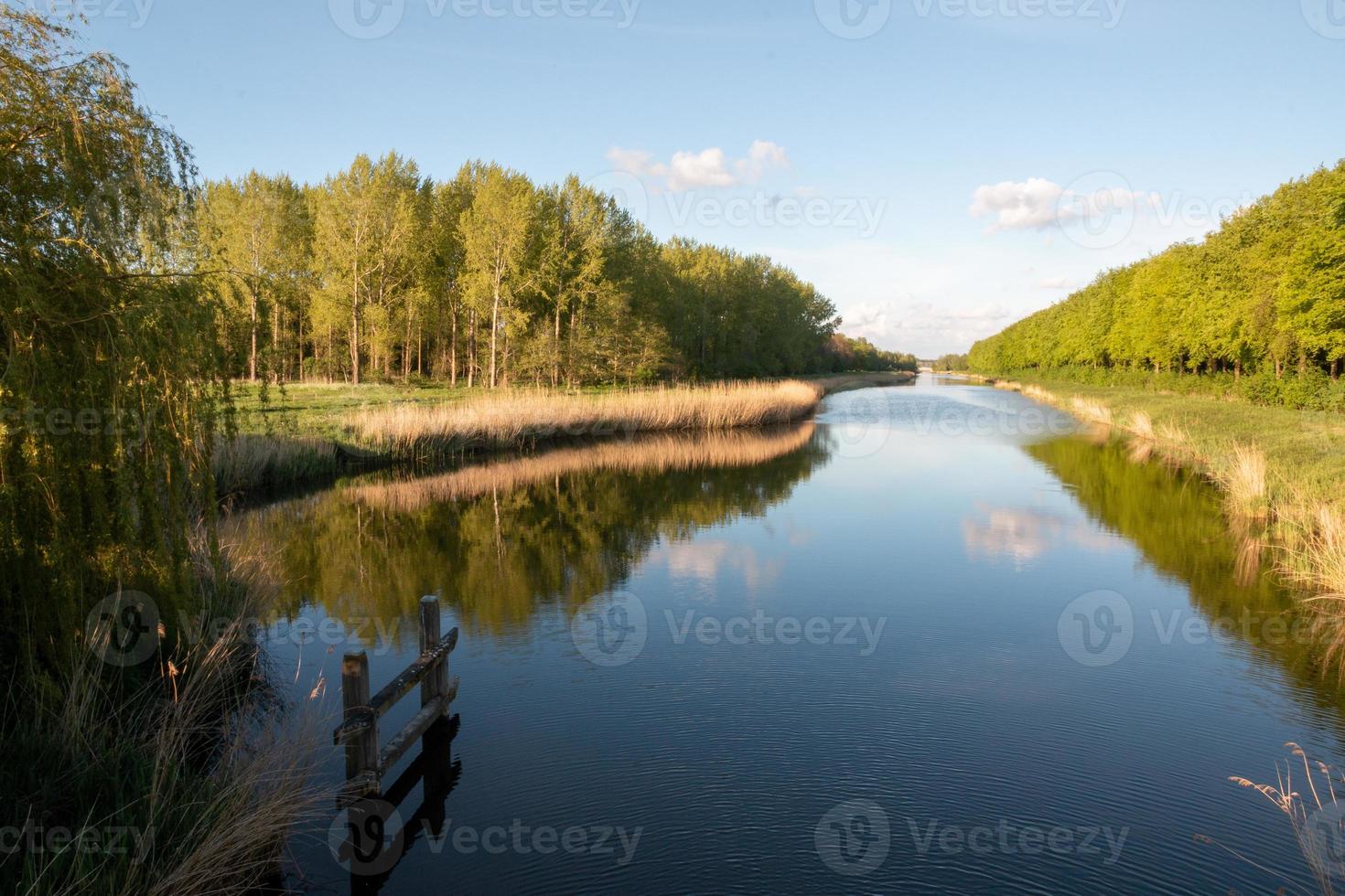 Waterway through a Dutch forest photo