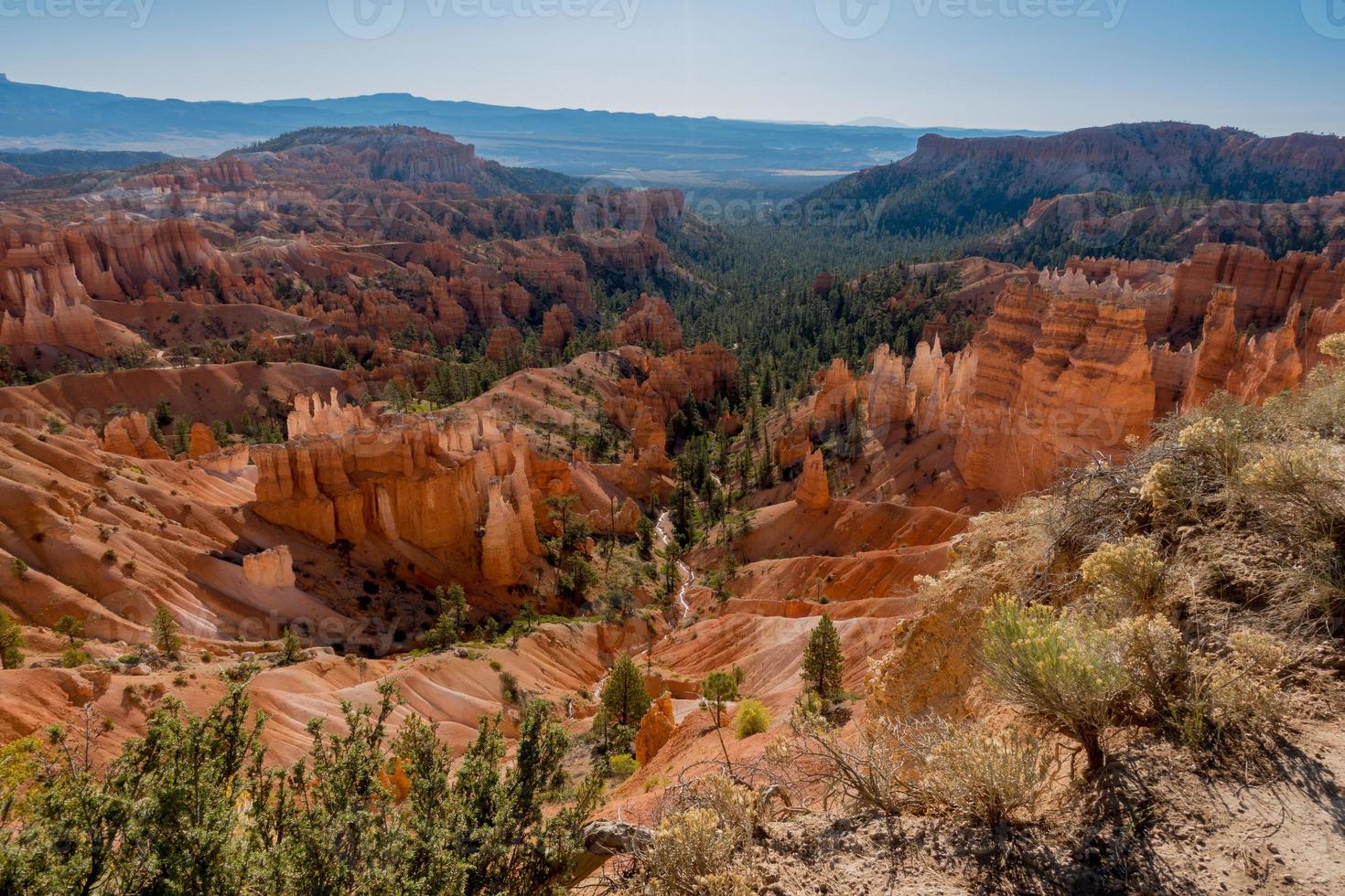 View over Bryce Canyon National Park photo