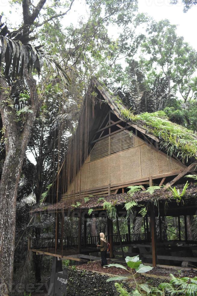 An old bamboo house in the forest photo