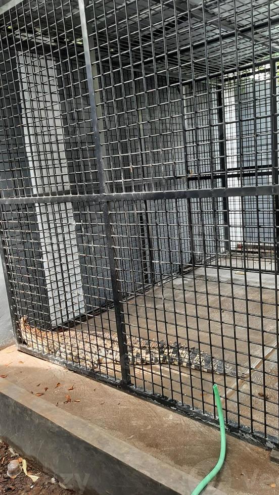 Metal cage in a construction site, close up of metal cage. photo