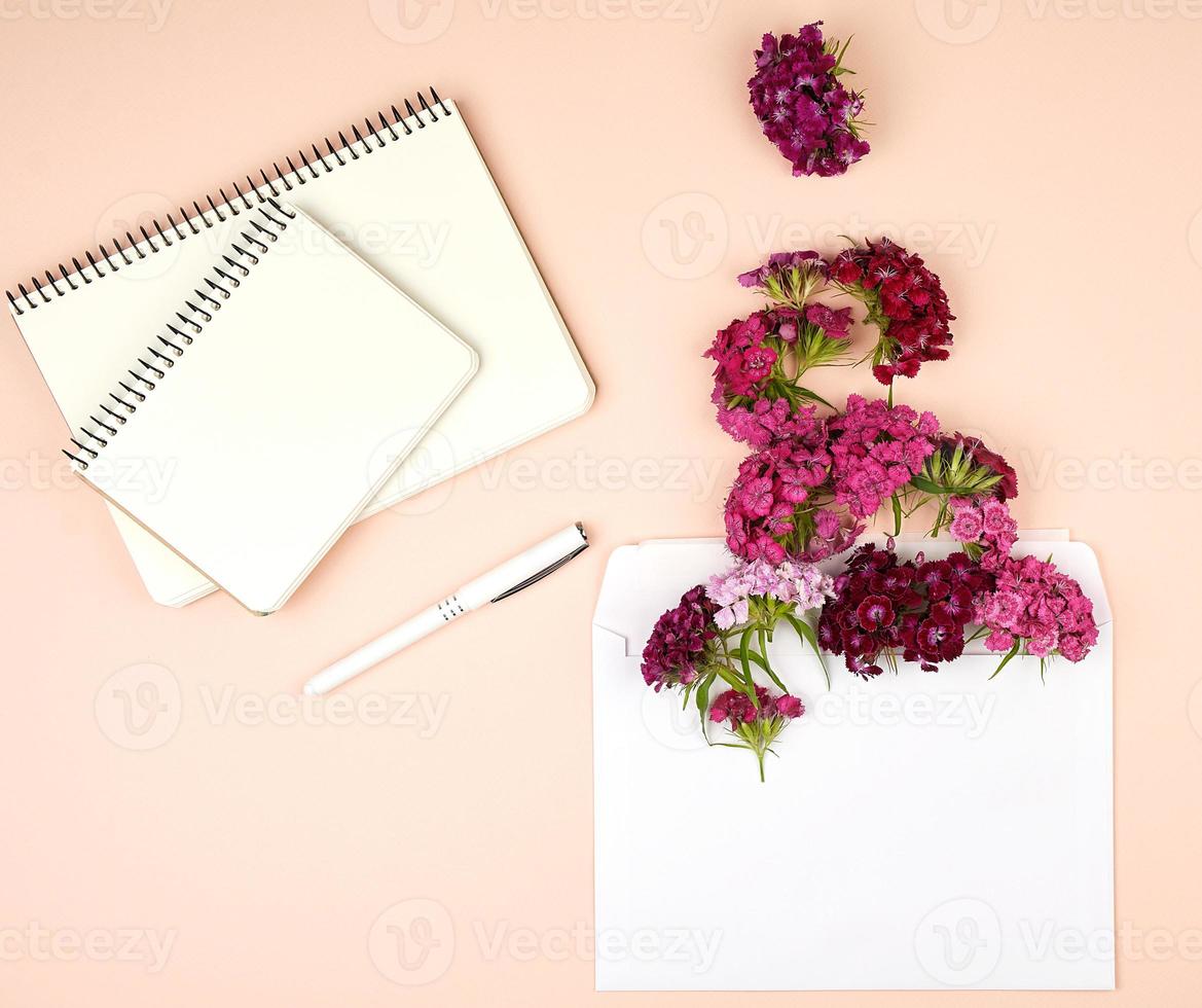open notebook with blank sheets and Turkish carnation Dianthus barbatus flower photo