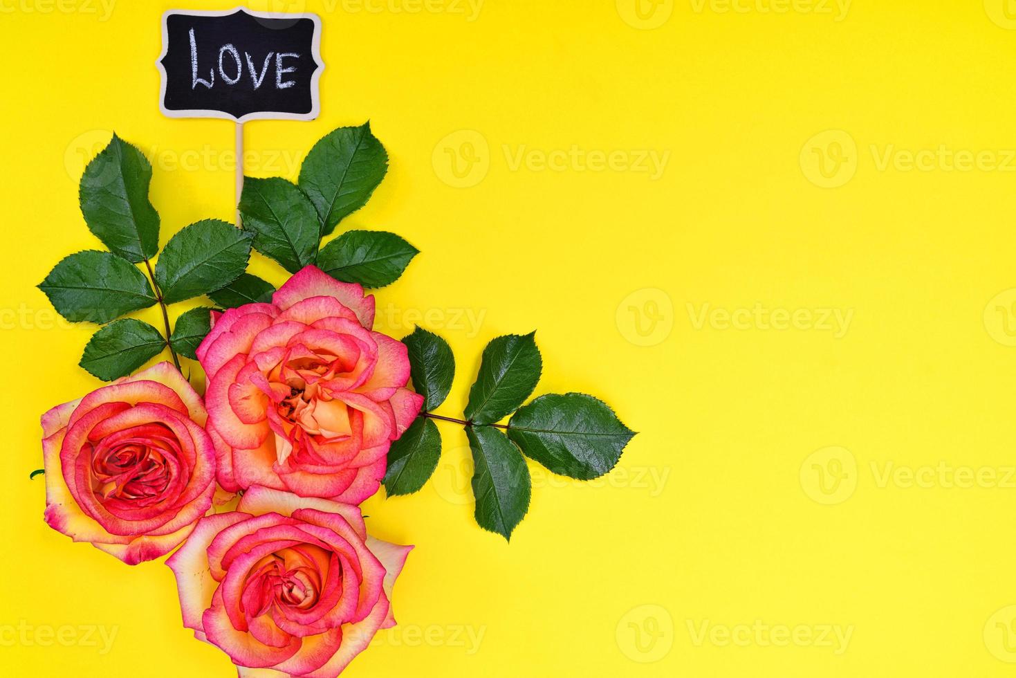 tres rosas rosadas sobre un fondo amarillo foto