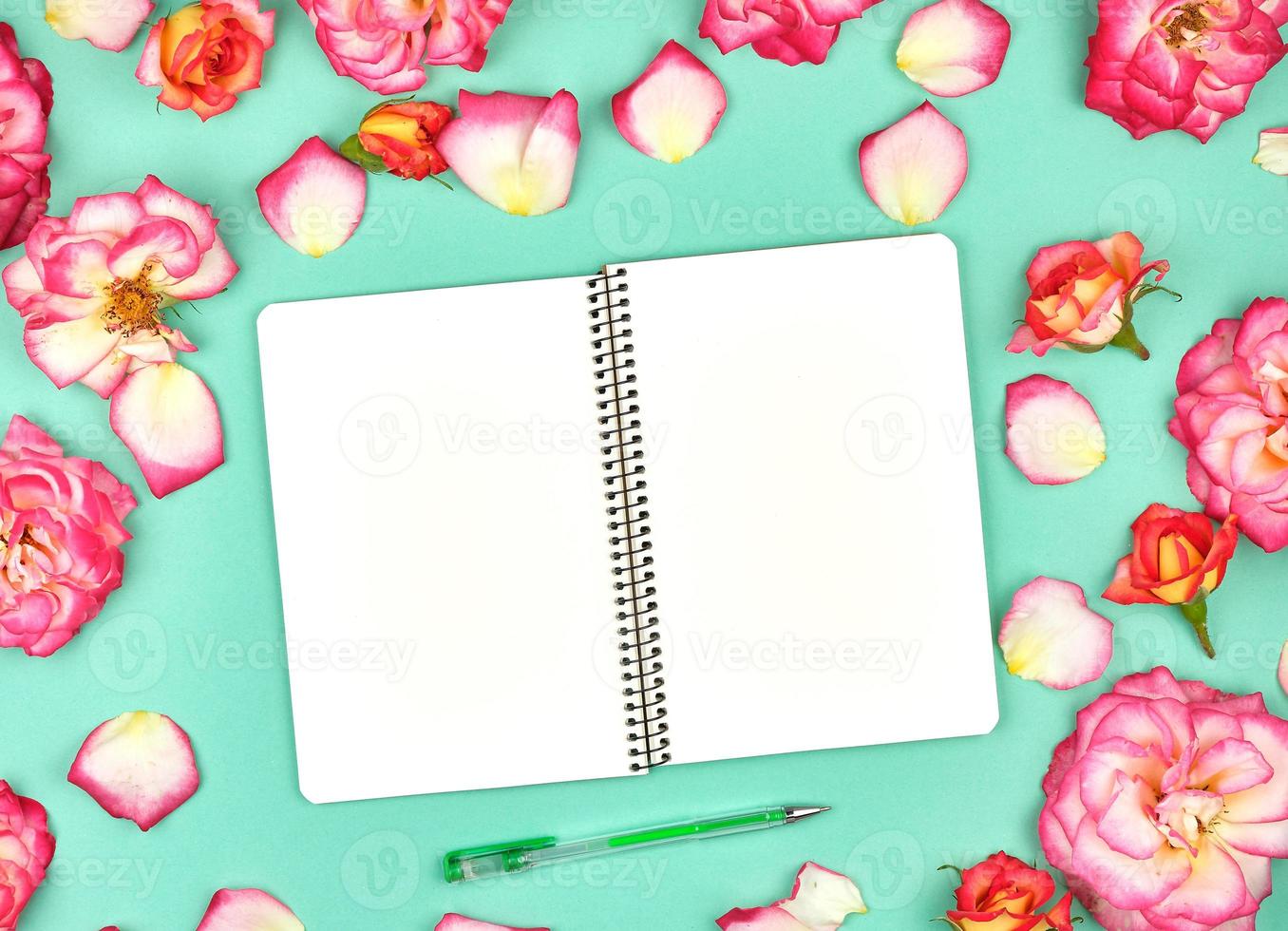 cuaderno con páginas en blanco en blanco sobre un fondo verde foto