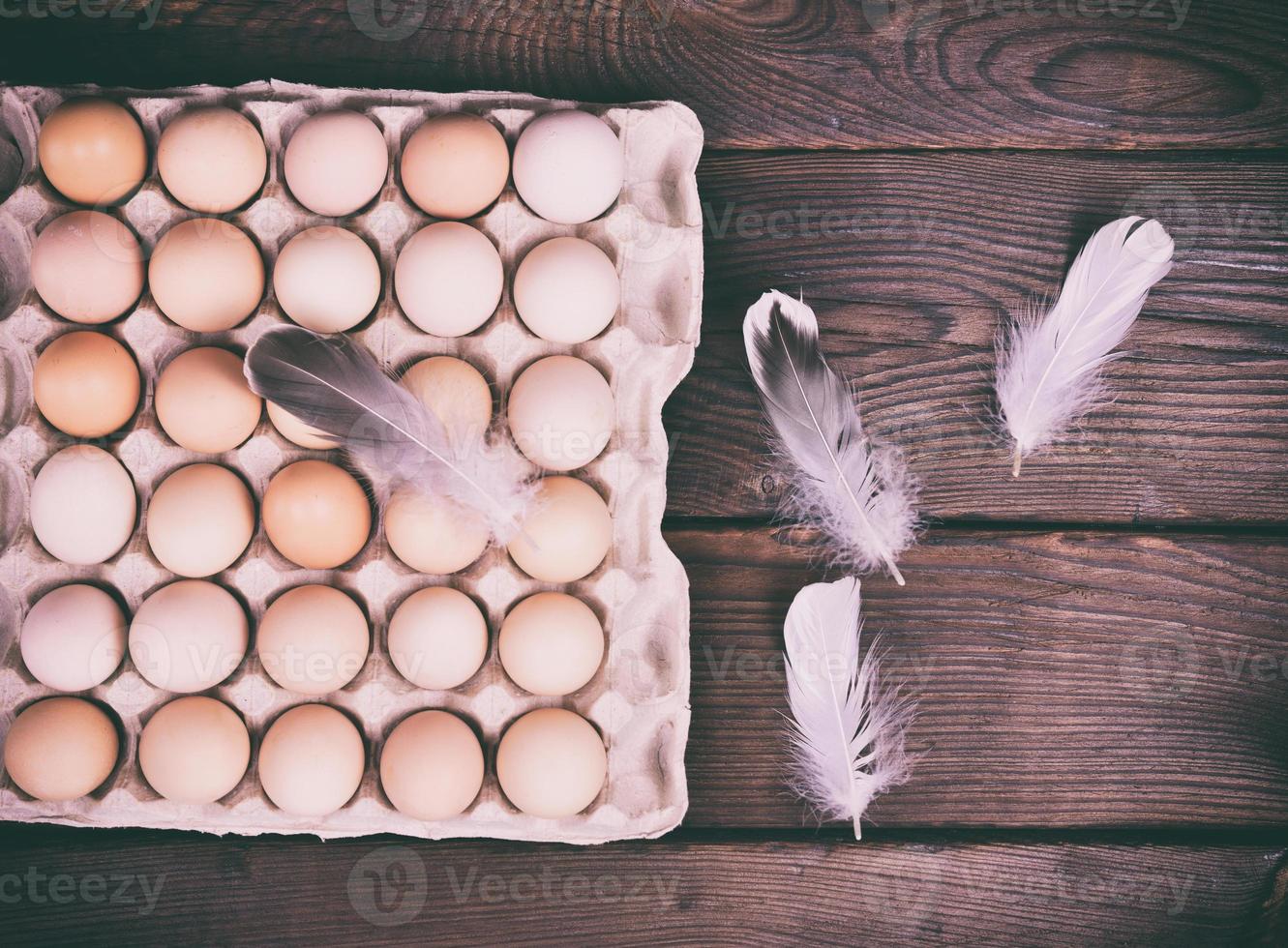 Fresh chicken eggs photo