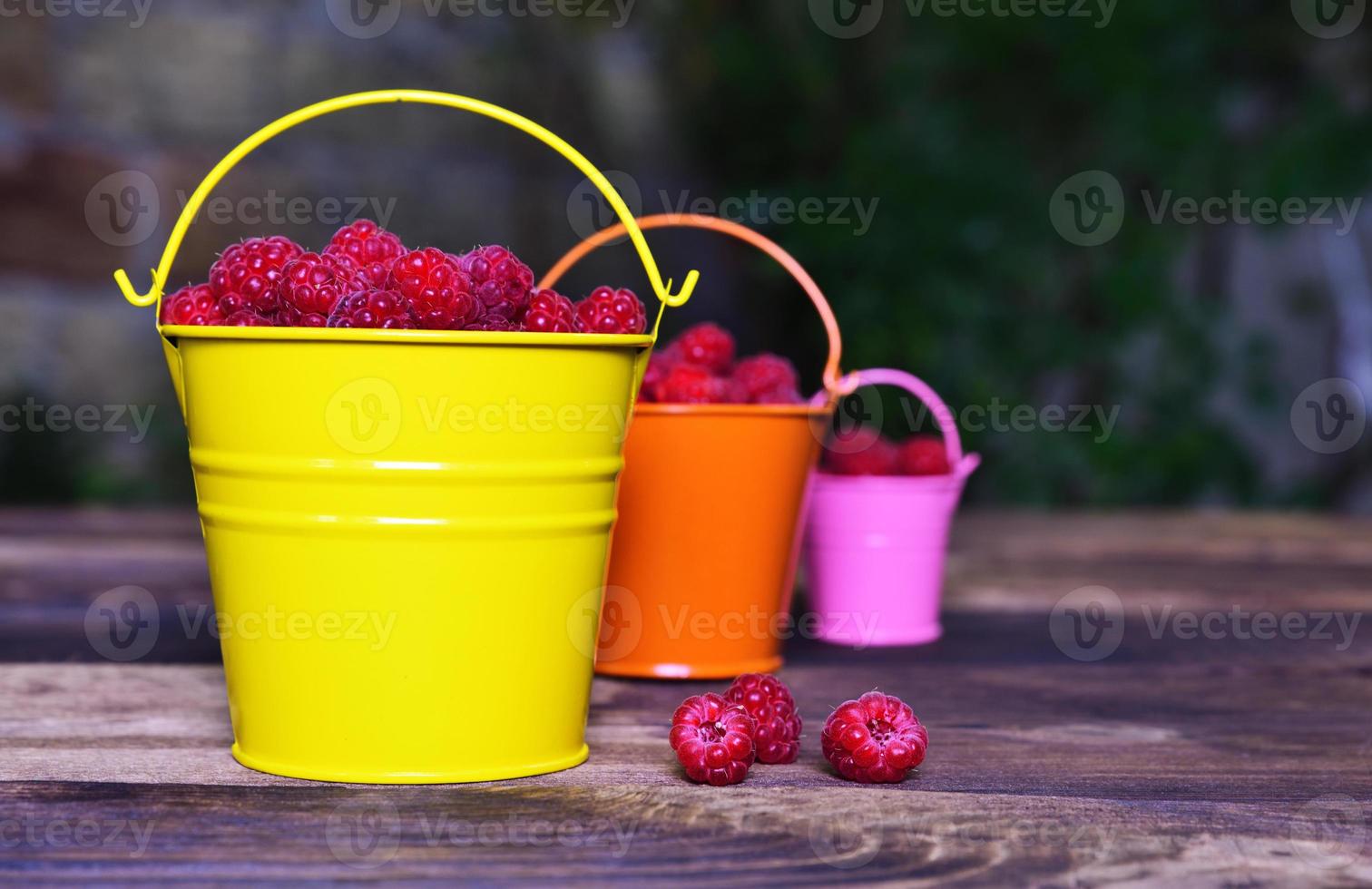 Ripe red raspberries in iron buckets photo