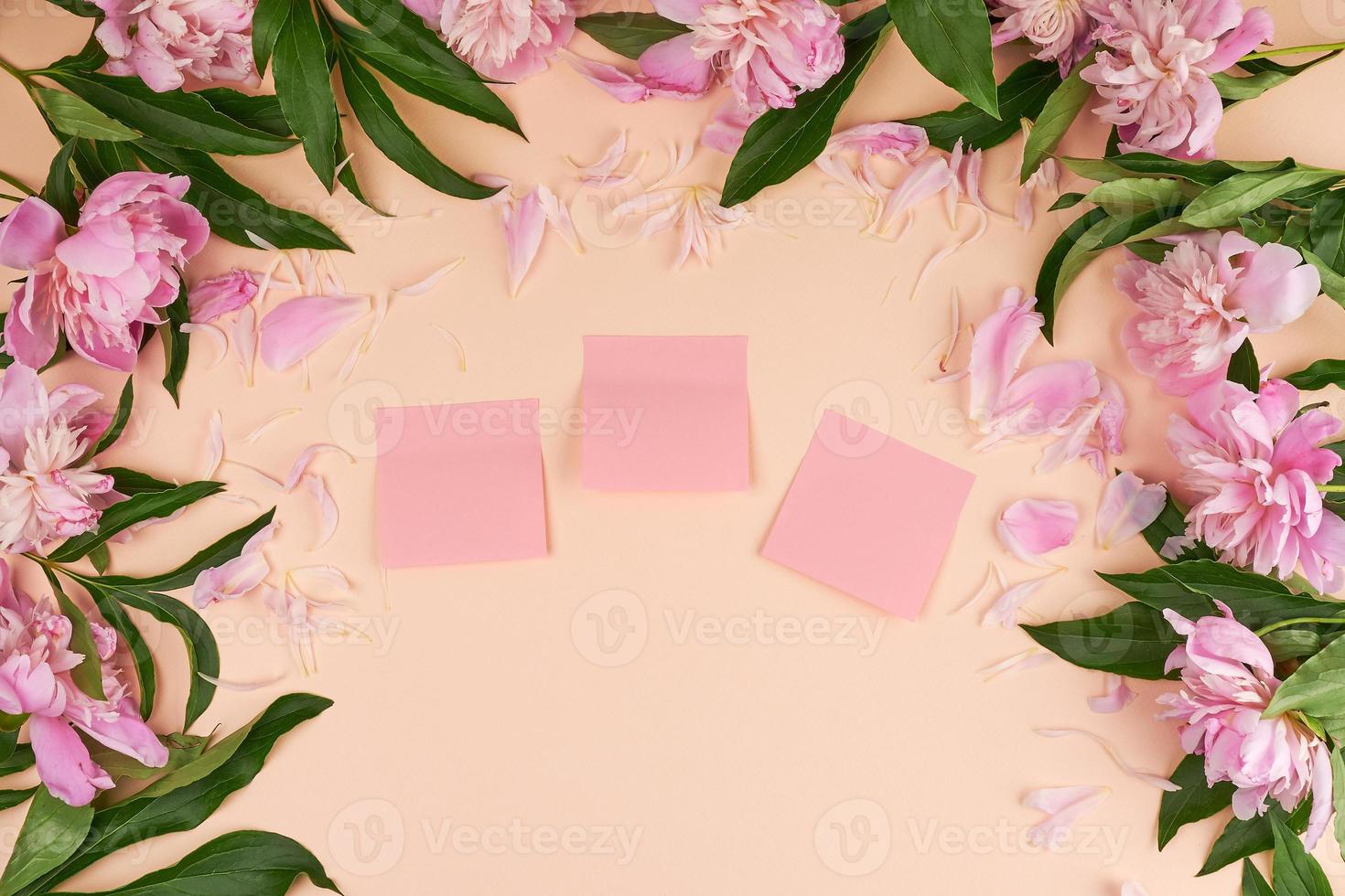 empty pink  paper stickers on a peach background photo