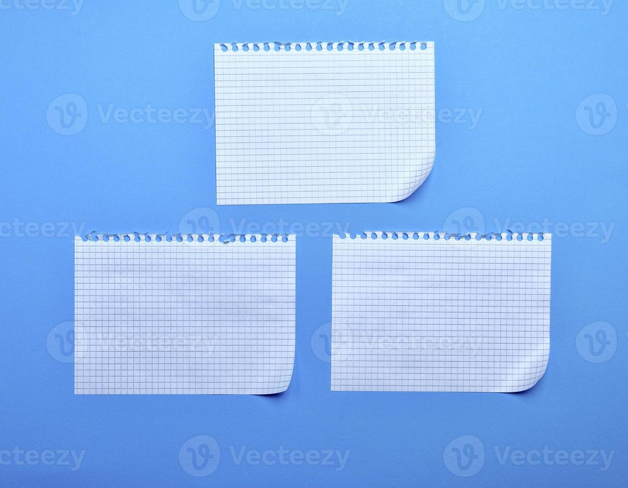three blank sheet of paper with curved corners photo