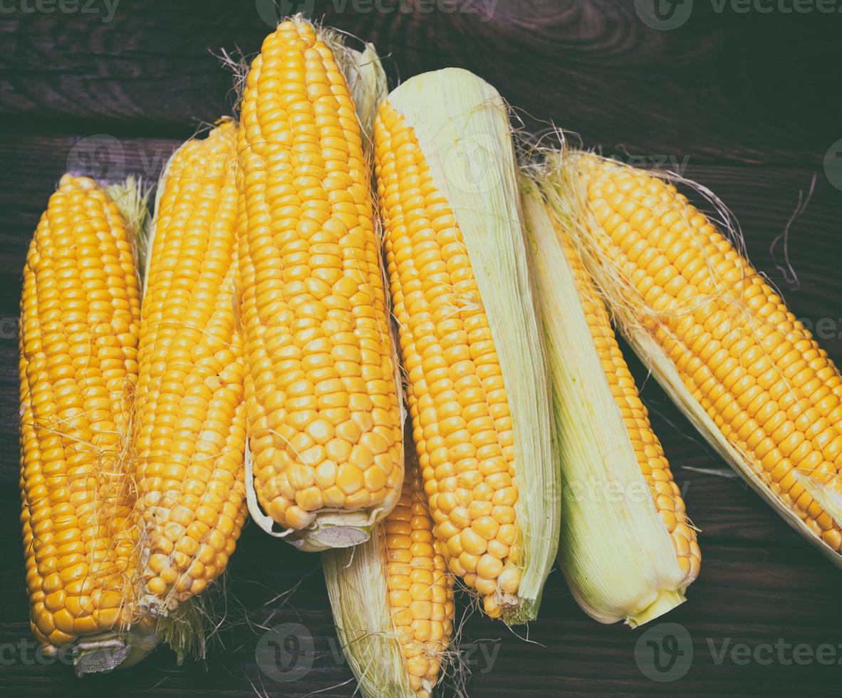 Peeled corn cobs with yellow grains photo