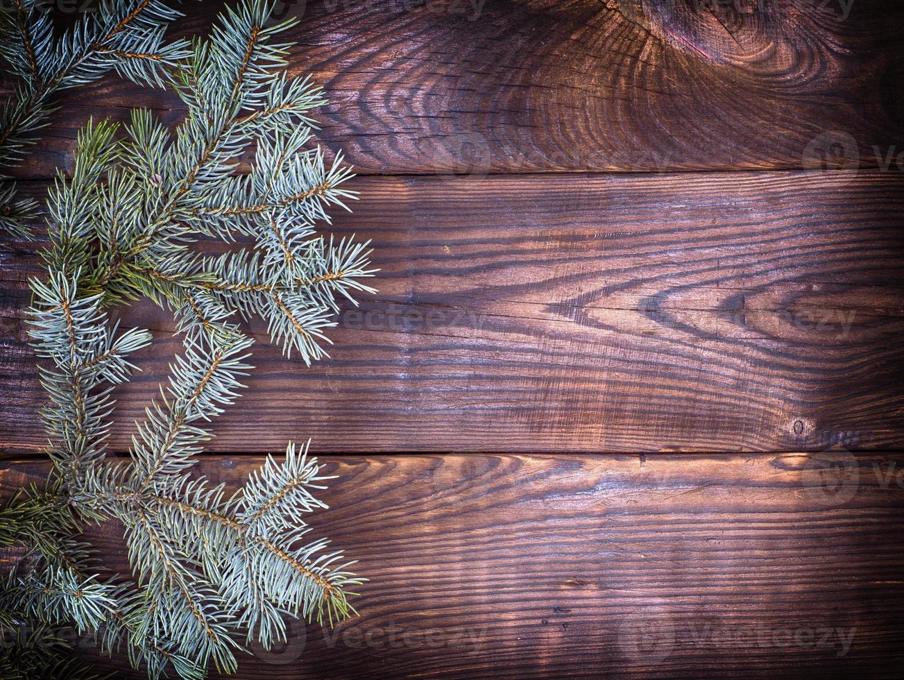 green spruce branch on a brown wooden background photo