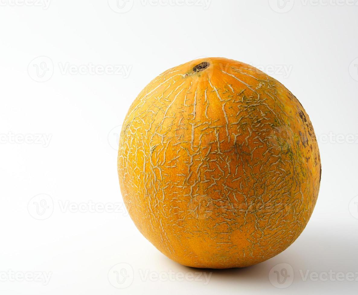 whole ripe yellow  melon on a white background photo