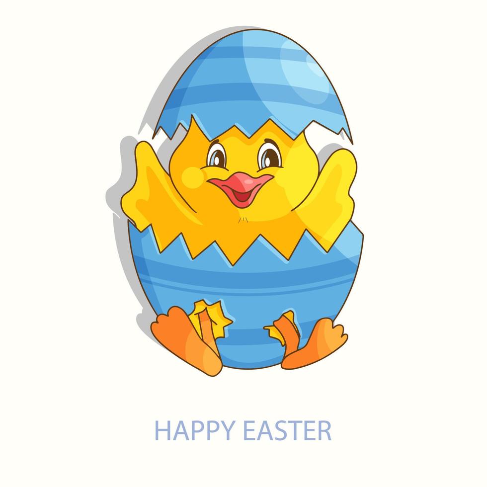 Yellow Easter chicken baby in cracked egg, chick born from egg. vector