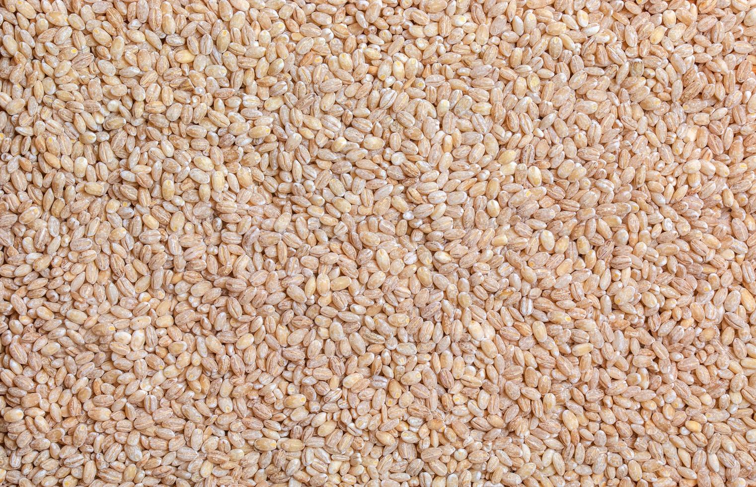 Pearl barley background closeup, top view. Pearl barley closeup, grain