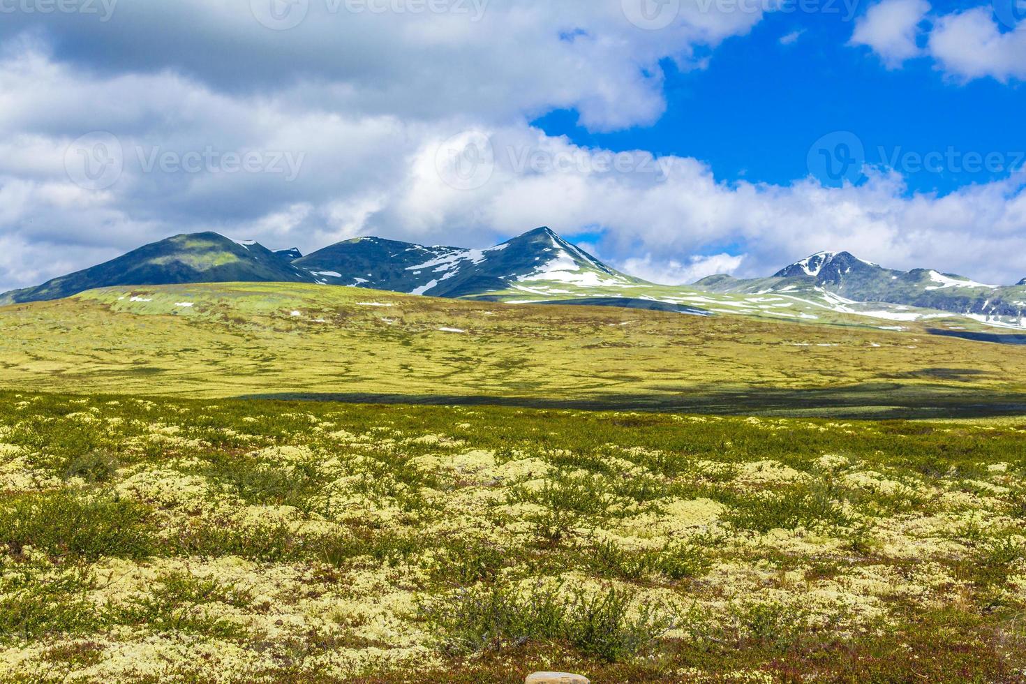 Beautiful mountain and landscape nature panorama Rondane National Park Norway. photo