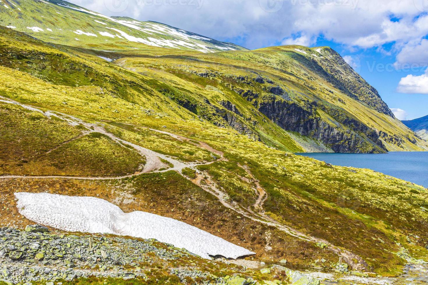 hermosa montaña y paisaje naturaleza panorama rondane parque nacional noruega. foto