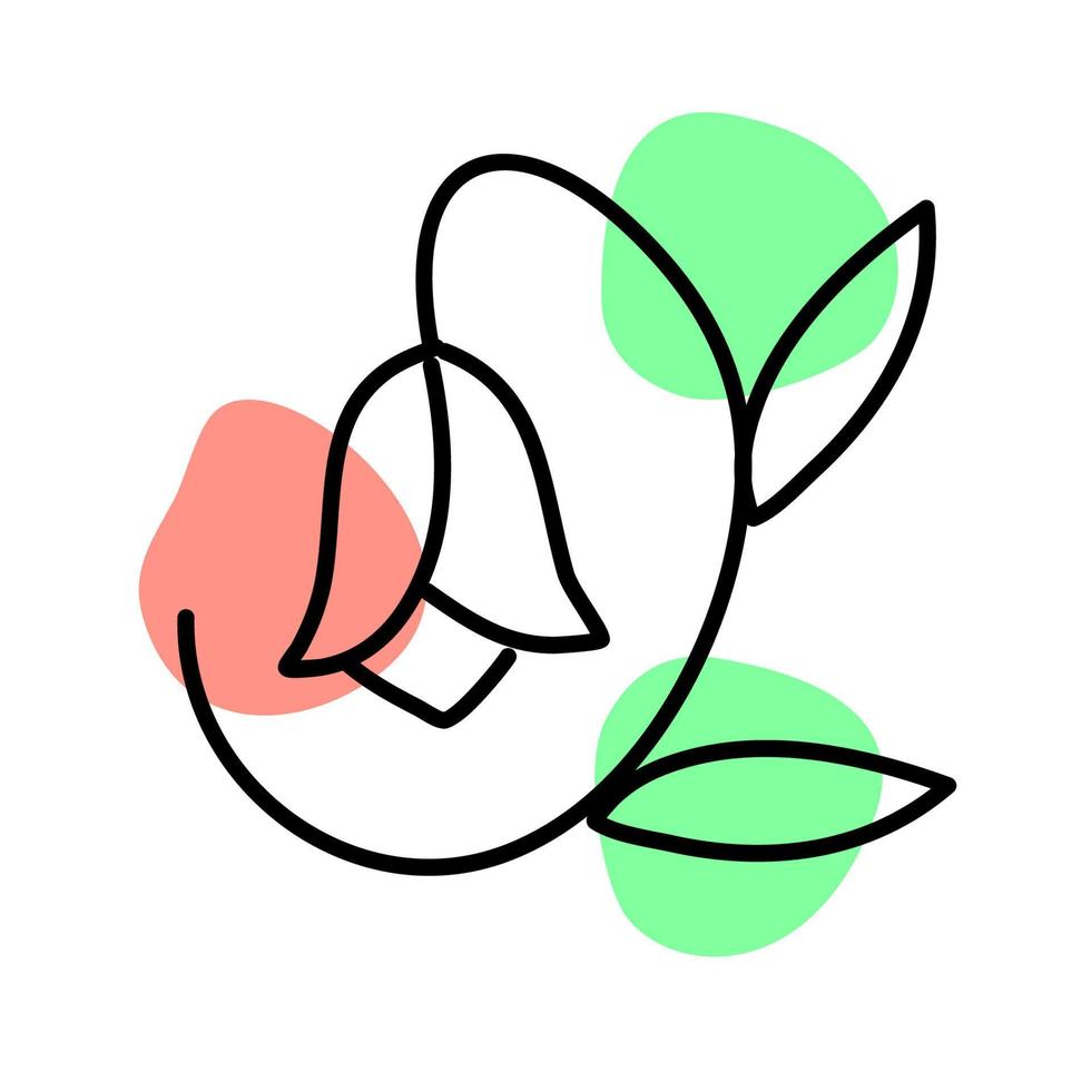 ilustración de flor minimalista. planta floral y hoja. flor de la naturaleza floral. vector