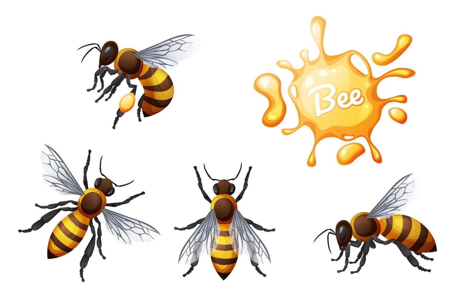 Set of honey bees. Flying and crawling insects. Suitable for the design of stickers, websites, prints, etc. vector