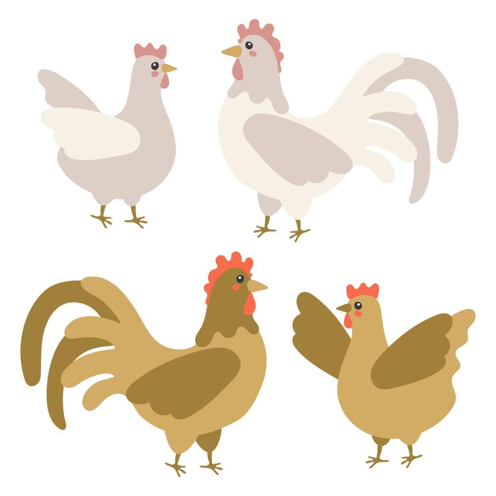 Collection of rooster and hen isolated on a white background. Brown and white set. A lovely lovely family of domestic birds. Children's flat vector