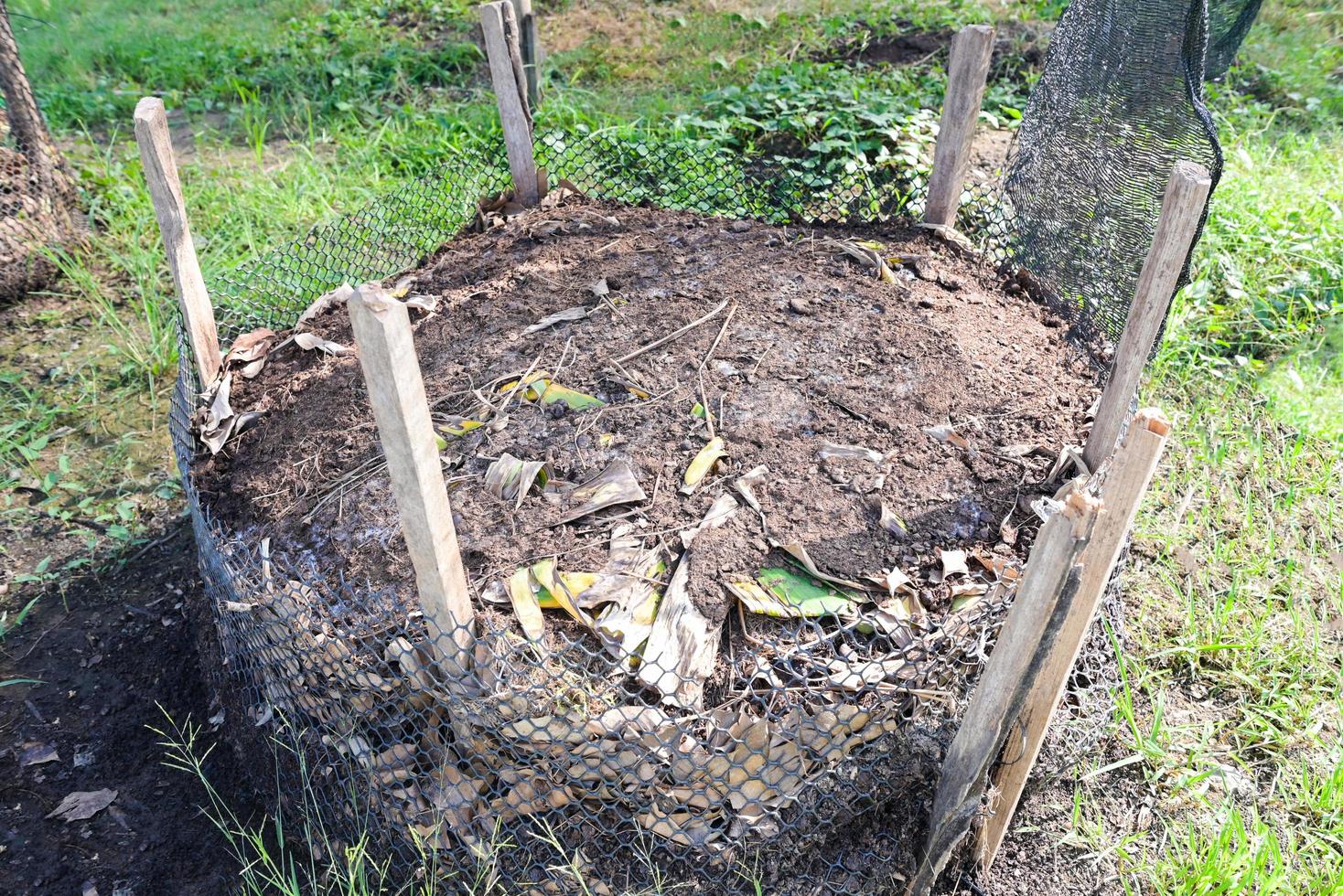 Bio composting - Fresh bio-waste and compost in the garden with food waste and banana leaf mixed with soil for use as fertilizer in growing crops photo