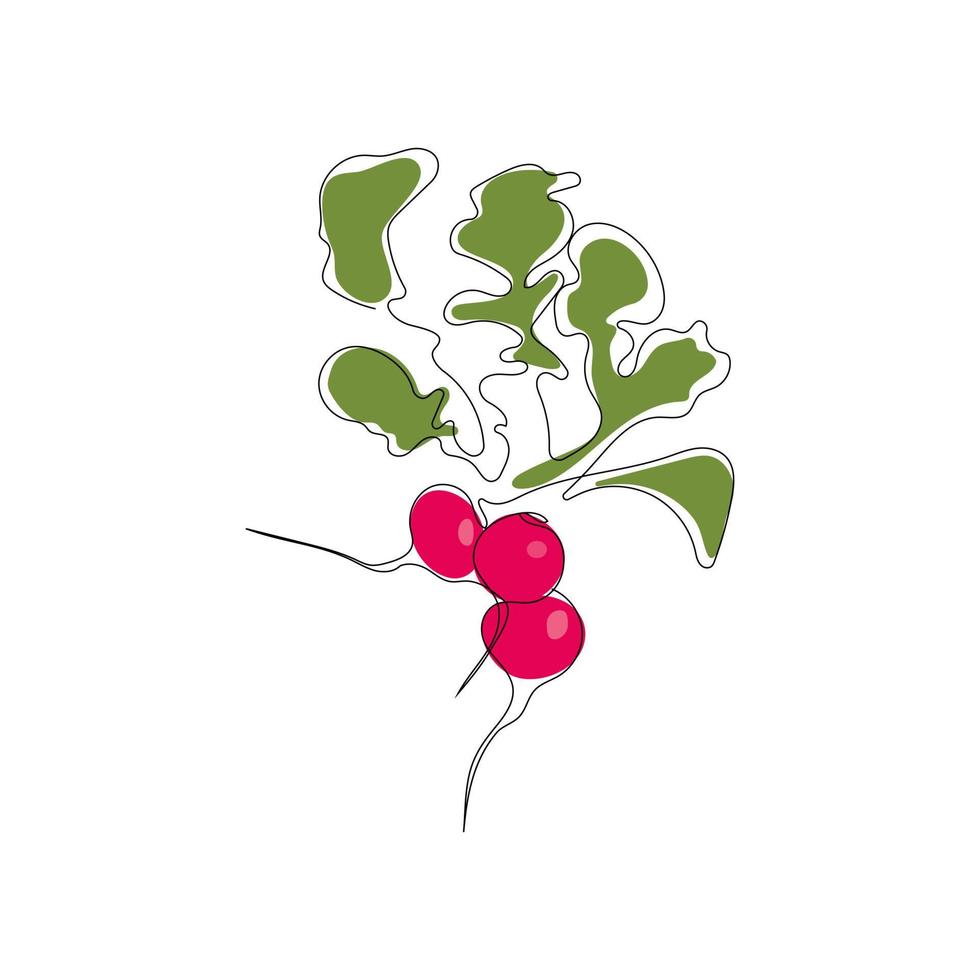 Red radish bundle in continuous line art drawing style. Minimalist black one line sketch with color spots isolated on white background. Fresh food vegan concept design. Hand drawn vector illustration.