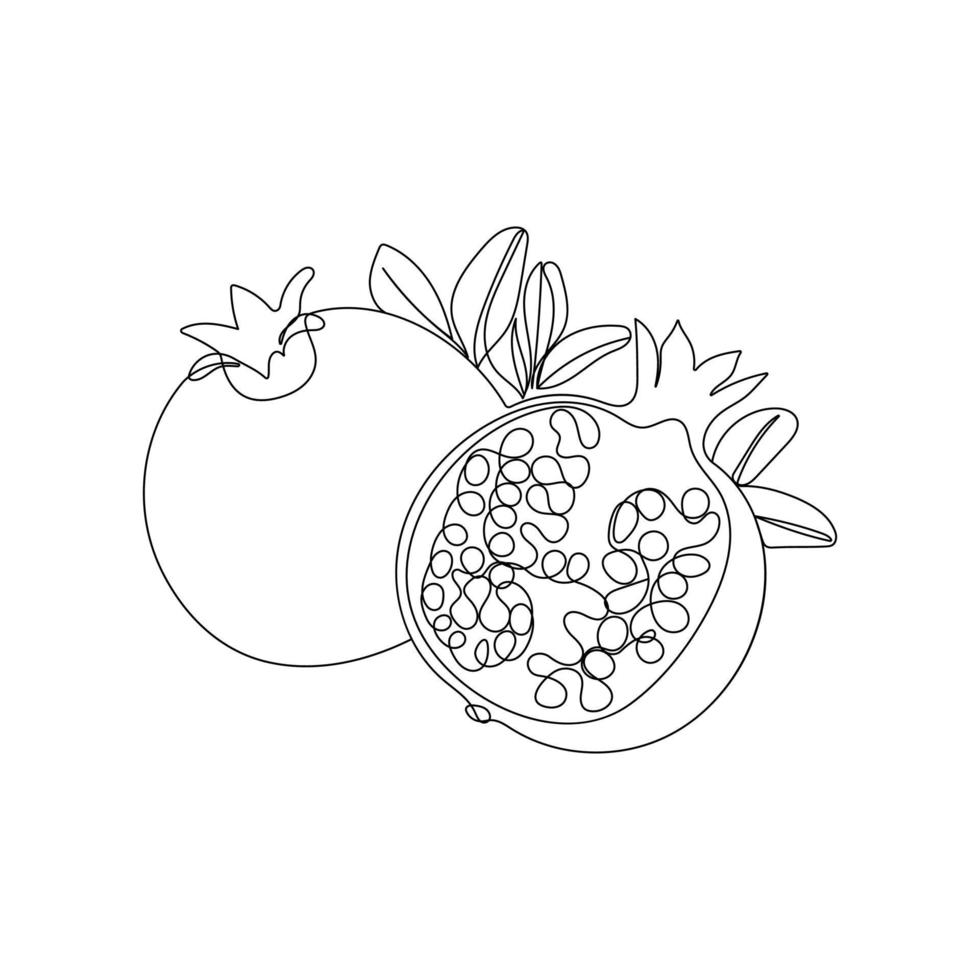 Pomegranate fruit in one line drawing style. Whole and half sliced healthy organic pomegranate. Hand drawn vector illustration.