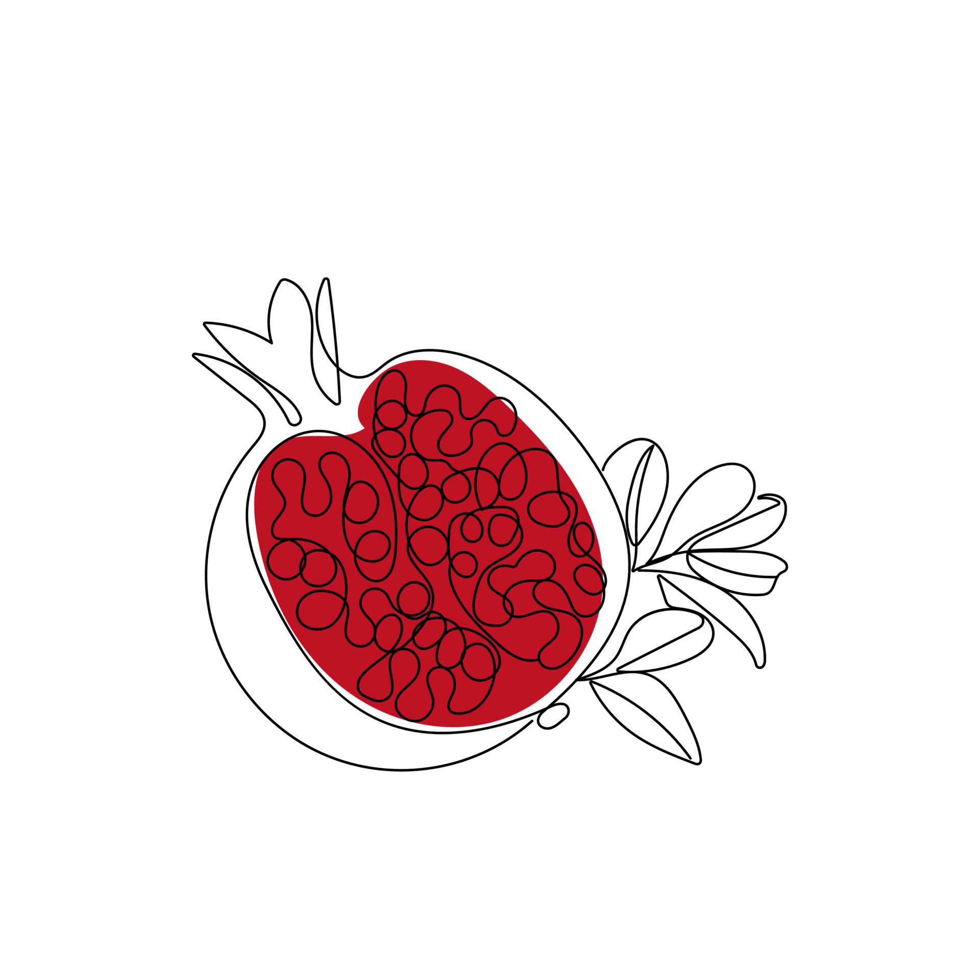 Pomegranate fruit. Cutaway pomegranate in one line drawing style. Half
