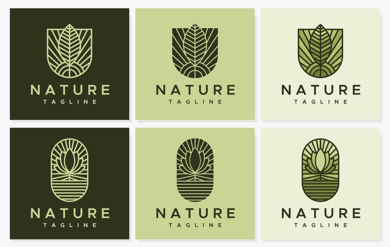 colección de plantillas de diseño de logotipo de línea de hoja. paquete de vector de logotipo de planta de línea simple.