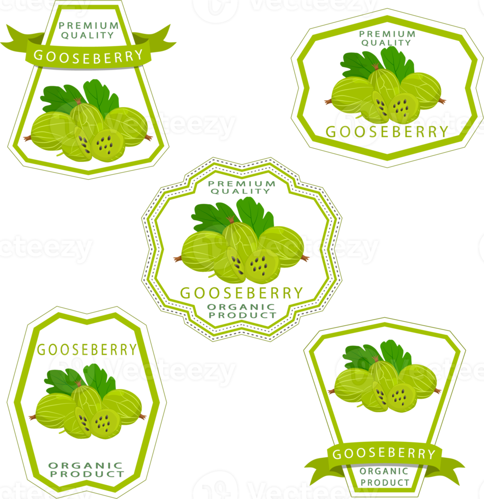 Sweet juicy tasty natural eco product gooseberry png