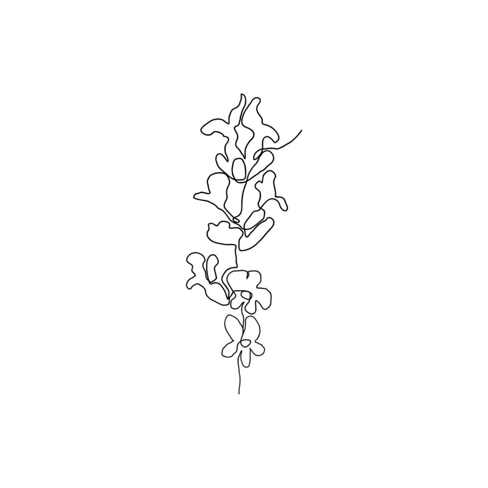 Abstract flower lavender drawn by hand in a continuous line. Minimalist style. Floral Design element vector