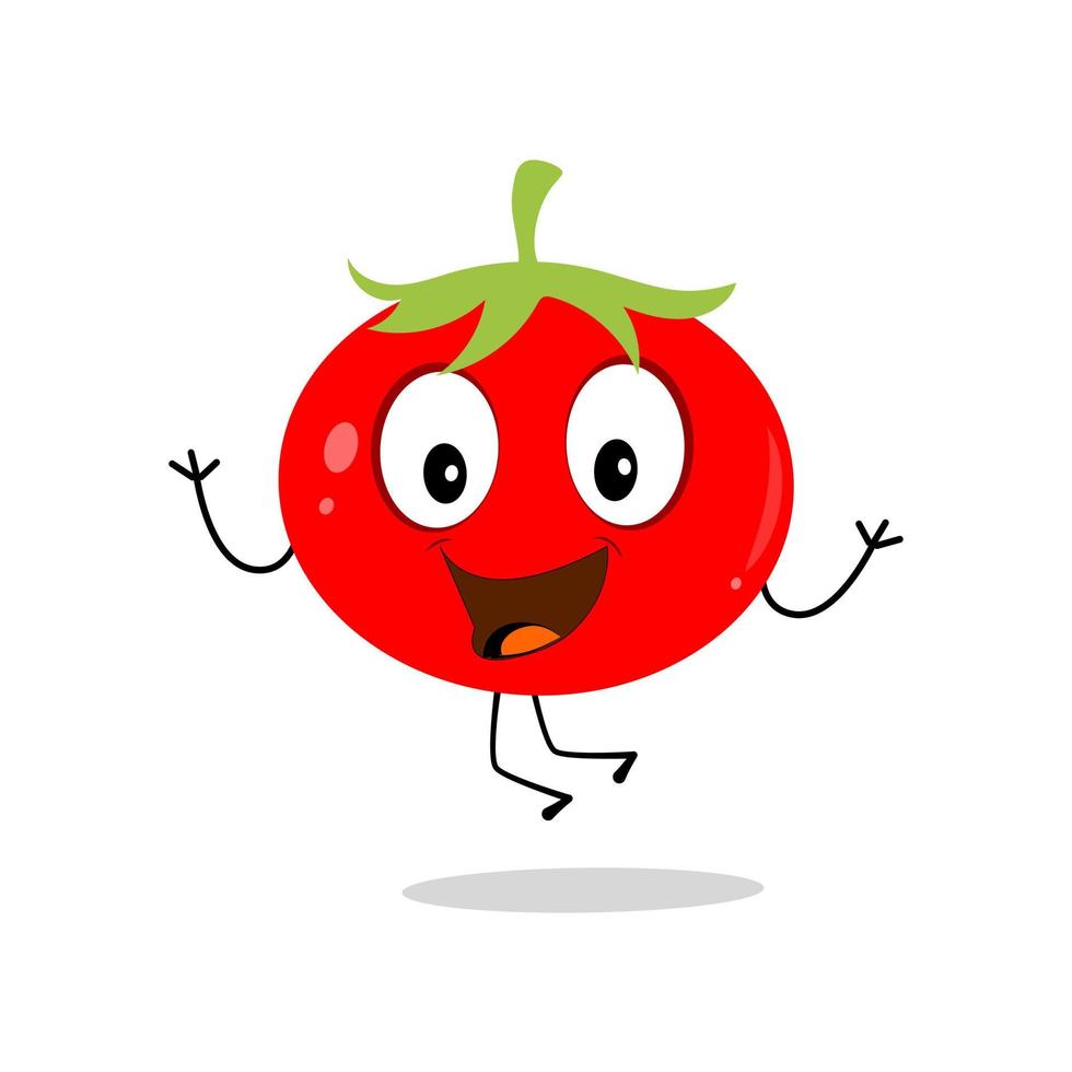 Tomato character design. Tomato vector. Cartoon mascot tomato smiling. Tomato on white background. vector