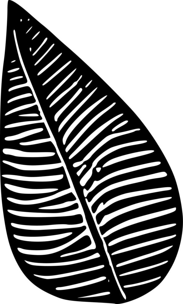 vector illustration of leaf shape